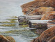 Sea Weaving - Kelp